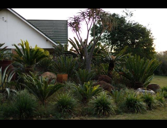120,000M² FARM FOR SALE IN HILLDROP
